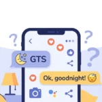 gts meaning in text