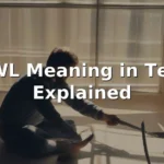 awl meaning in text