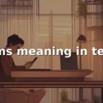 bms meaning in text