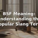 bsf meaning in text
