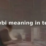 dwbi meaning in text