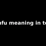 gmfu meaning in text