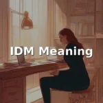 idm meaning in text