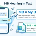 mb meaning in text