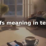 mfs meaning in text