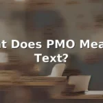 pmo meaning in text
