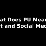 pu meaning in text