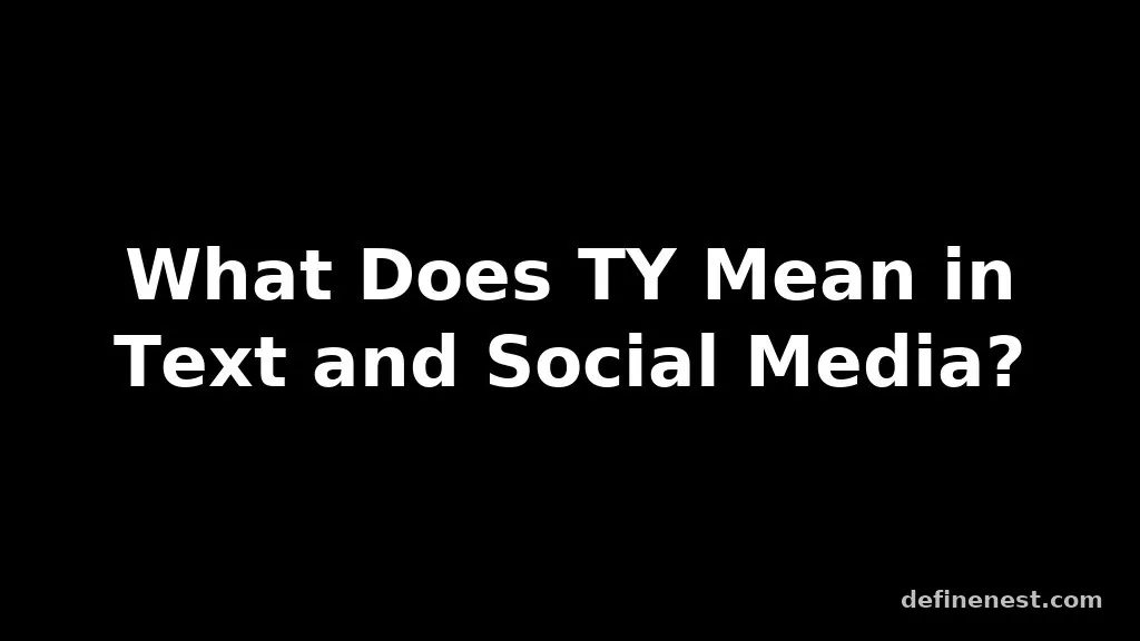 ty meaning in text