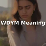 wdym meaning in text