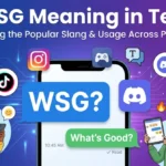 wsg meaning in text