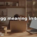 wygg meaning in text