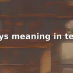 wys meaning in text