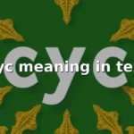 cyc meaning in text