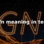 gfn meaning in text
