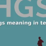 hgs meaning in text
