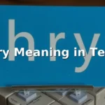 hry meaning in text