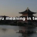 hyu meaning in text