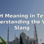 ihh meaning in text