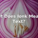 ionk meaning in text