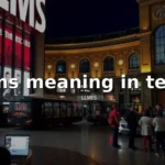lms meaning in text