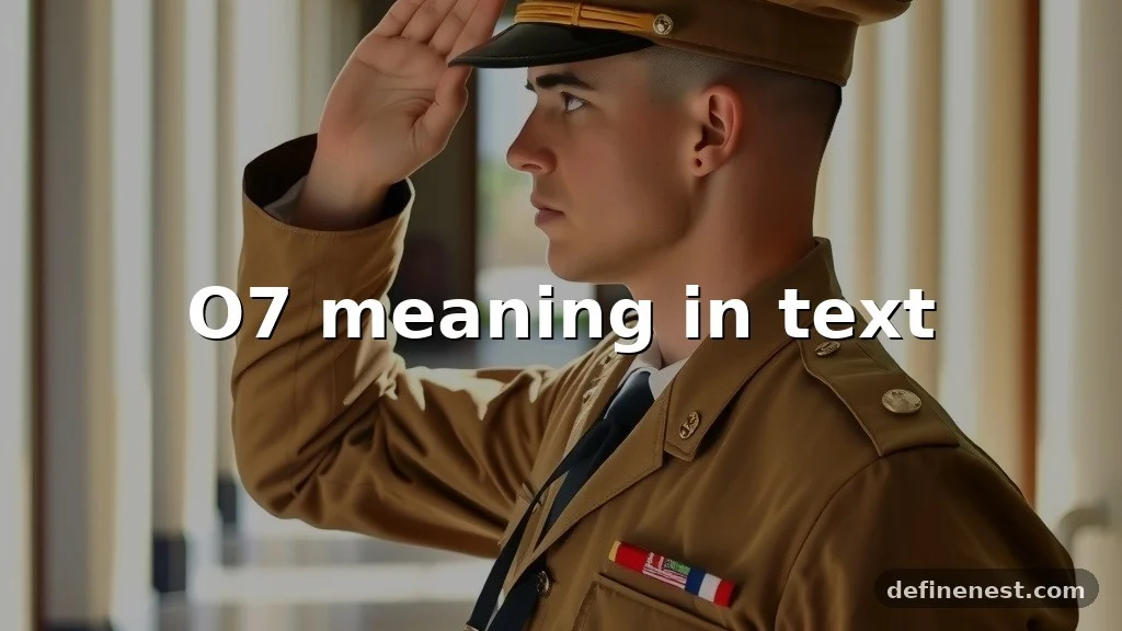 o7 meaning in text