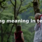 ong meaning in text