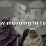 sfw meaning in text