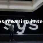sys meaning in text