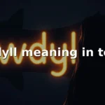 wdyll meaning in text