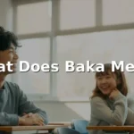 what does baka mean