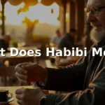 what does habibi mean
