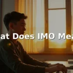 what does imo mean