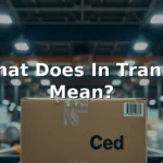 what does in transit mean