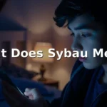 what does sybau mean