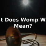 what does womp womp mean