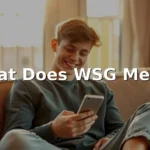 what does wsg mean