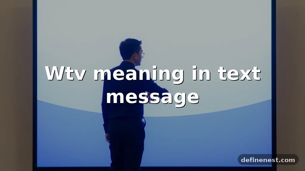 wtv meaning in text message
