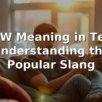 wtw meaning in text 2026