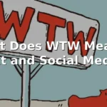 wtw meaning in text slang