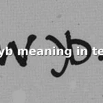 wyb meaning in text