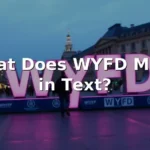 wyfd meaning in text